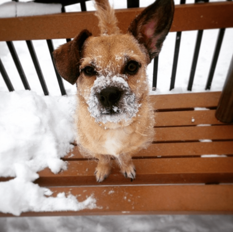 Screen Shot 2017-08-20 at 5.35.05 PM